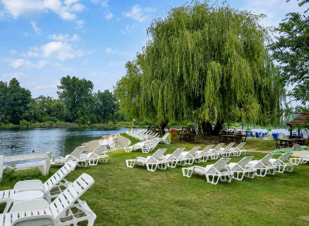 Zelena obala jezera kod Bele Crkve sa ležaljkama pod vrbom